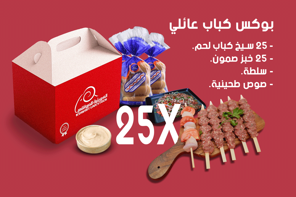 Kebab Family Box  25pcs