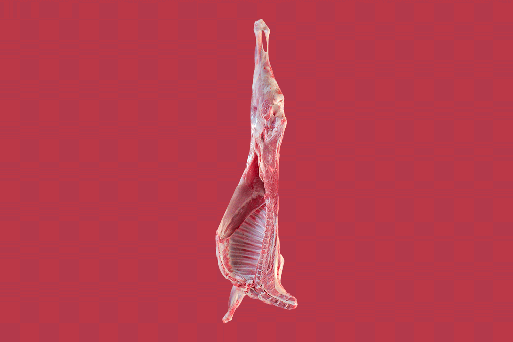 Half Sudani Lamb
