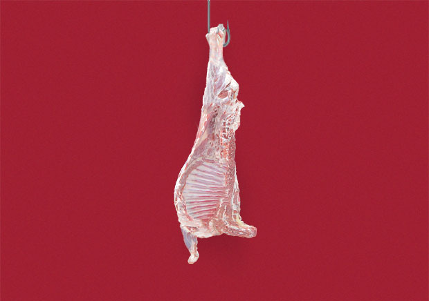 Chilled Australian Lamb - Half